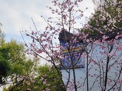-乌山风景区
