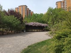 -北极寺公园