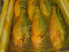 -岳各庄批发市场(西四环中路店)