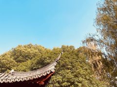 -秋霞圃