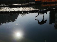 -苏州河梦清园环保主题公园