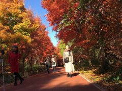 -长春市南湖公园