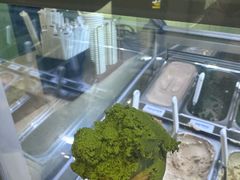 -鹤茶野所(上海首店)