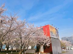 -龙美术馆(西岸馆)