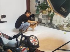 -超宠爱宠物摄影-Super pet