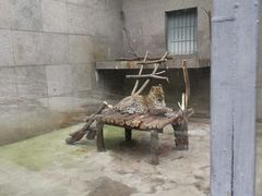 -西安秦岭野生动物园