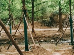 -白水寺森林公园