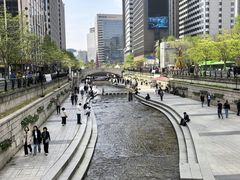 -乐天免税店(明洞店)