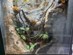 -中国湿地博物馆