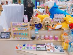 -帕帕拉兹宠物(亚洲旗舰店)