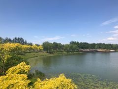 -东郊湿地公园