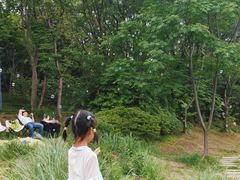 -长广溪湿地公园