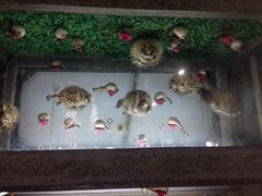 春盛渔府-春盛渔府(牛首山店)