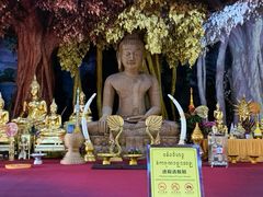 -西双版纳总佛寺