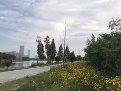 -艾溪湖湿地公园