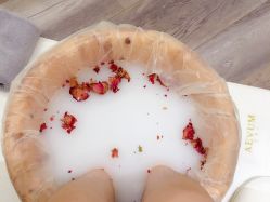 -奥斯芬欧系贵族SPA
