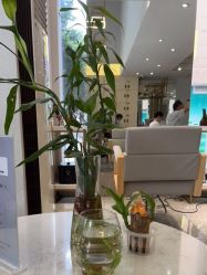 -菲·木田moontin造型salon