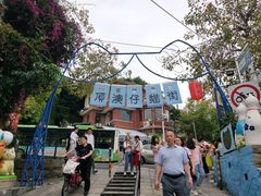 -猫咪博物馆(顶澳仔猫街店)