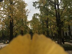 -百林公园-两江幸福广场