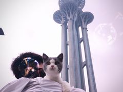 -纳吉亚猫专科动物医院博雅分院
