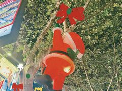 -循礼门鲜花花市(武汉循礼门店)