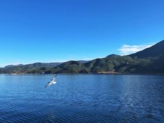 -丽江泸沽湖景区