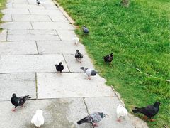 -普陀山风景名胜区-千步大沙