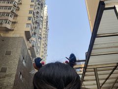 -洪记江鹰包行总店