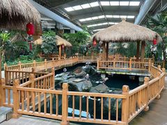 -南宫五洲植物乐园