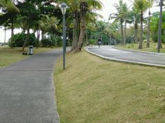 -宝安西湾红树林湿地公园