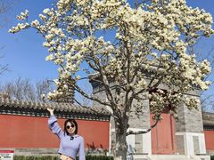 -西海子公园