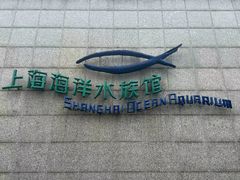 -上海海洋水族馆