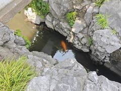-豫园