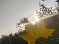 -呷哺呷哺(悦荟广场店)