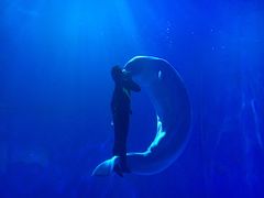 -多彩贵州城极地海洋世界