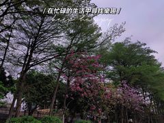 -松山湖风景区松湖烟雨