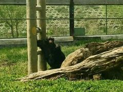 -新疆天山野生动物园