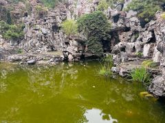-何园