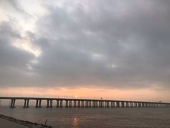 -宝安西湾红树林湿地公园