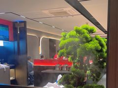 -蝎王府羊蝎子(北大地店)