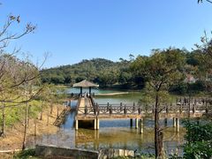 -叱石风景区