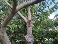 -张学良旧居陈列馆
