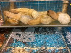 -韩记海鲜饺子旗舰店(红海新区店)