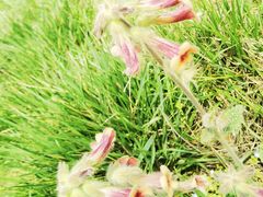 -汉景帝阳陵博物院