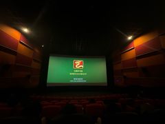 -金逸影城(武汉人信汇IMAX店)