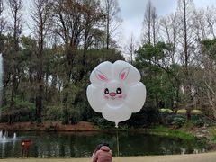 -上海共青森林公园