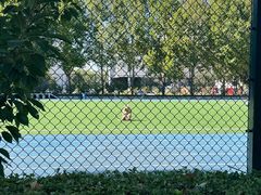 -北京服装学院-食堂