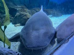 -常州海昌海洋探索馆