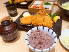 -胜博殿日式炸猪排(西红门店)