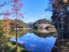 -广州市石门国家森林公园